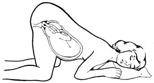 Knee chest position